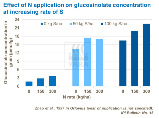 Effet d'application de nitrogène sur concentration de glucosinolate à un taux croissant de S