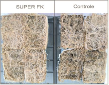 GLAS1902 Proef 3.png