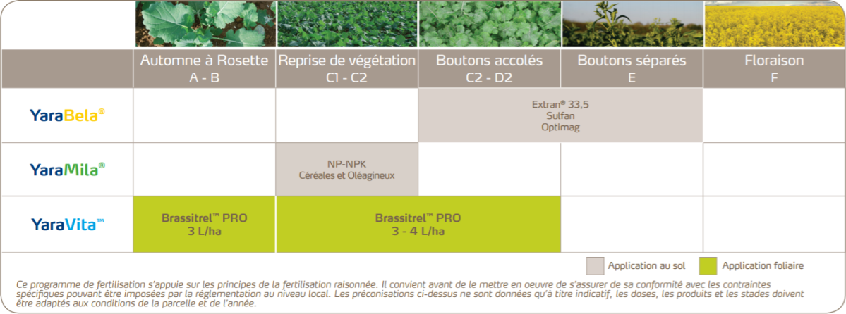 Programme de nutrition du colza