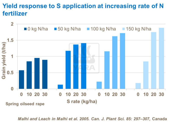 Rendement : réponse à l'application de soufre à un taux croissant d'engrais azoté