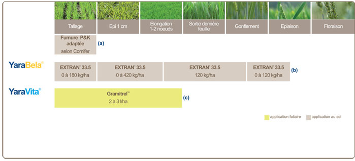 plan de fertiliation