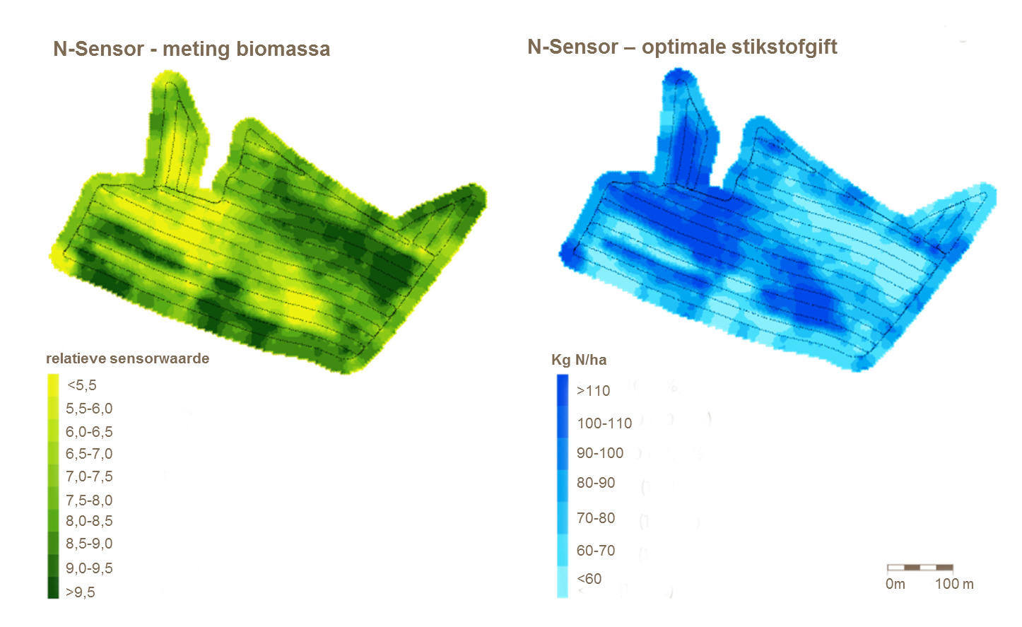 biomassa sensor