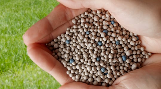 Kwaliteit is nu blauw