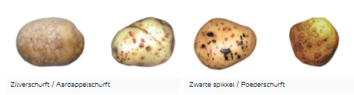 Zilverschurft en Zwarte spikkel