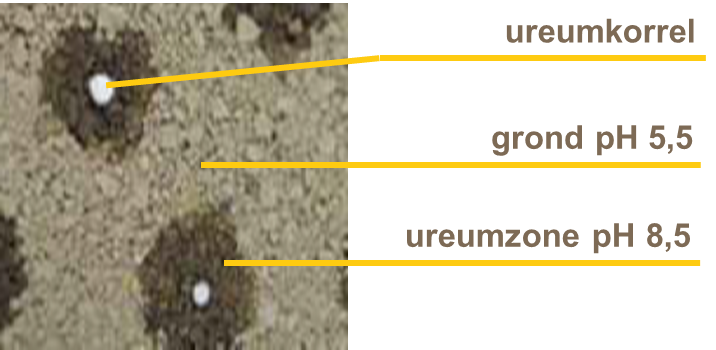 Stikstof uit ureum