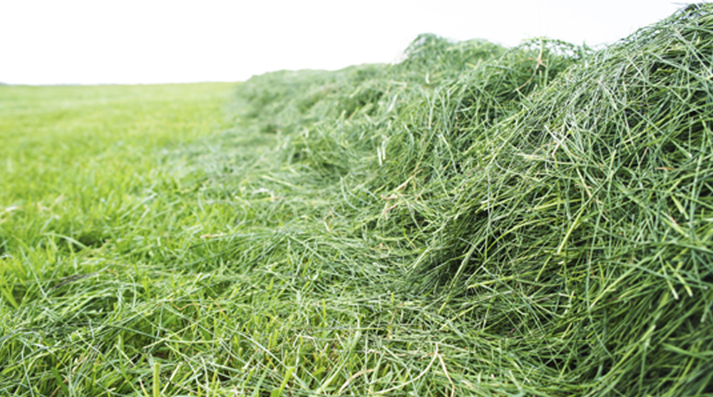 Besparen op kunstmest mogelijk? Yara GrassN app rekent het voor u uit!