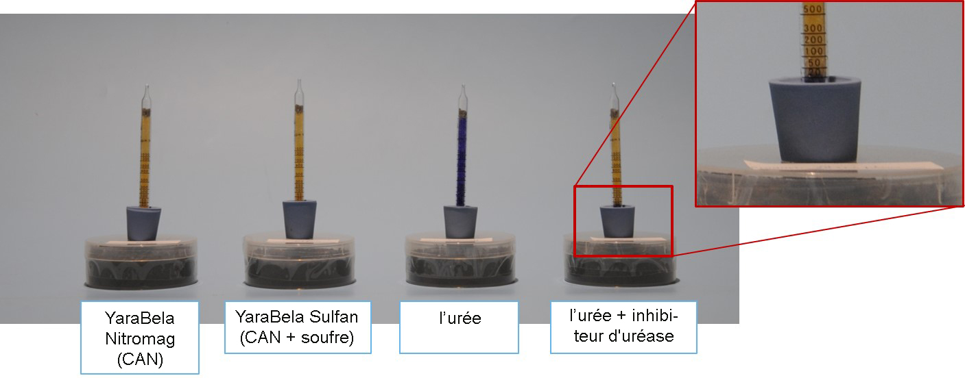 Figure 1: Émissions d'ammoniac 4 jours après l'application.jpg