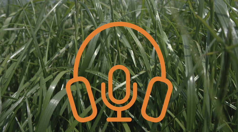 Nieuw: Yara Gras Podcast