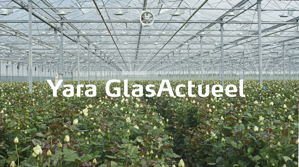 Yara GlasActueel nieuwsbrieven