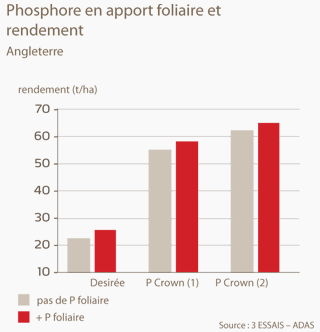 FR calibre-tubercules 