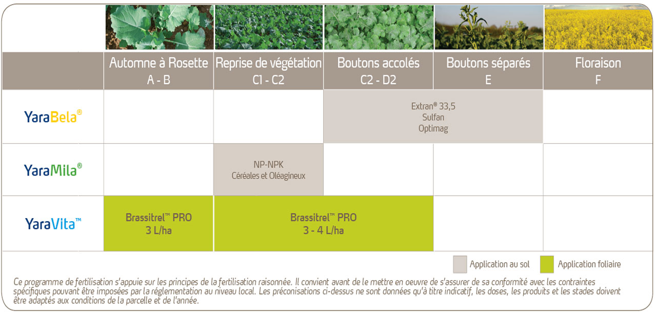 Programme de nutrition du colza - Liquide