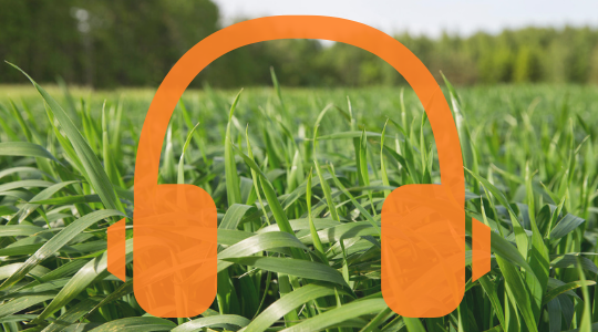 Melkveehouderij podcast plaatje