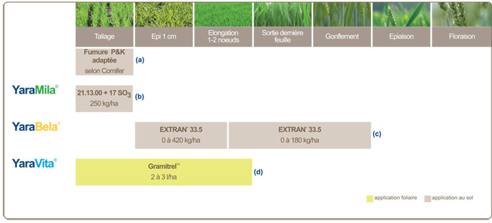 plan de fertilisation