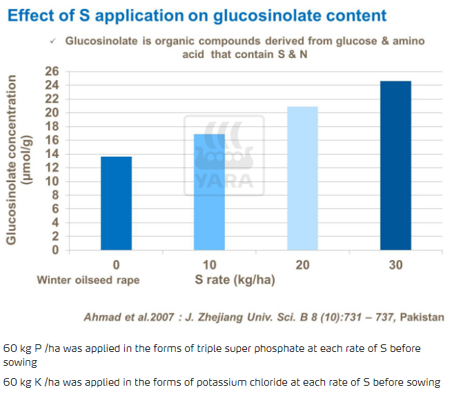 Effet du soufre sur la teneur en glucosinolate