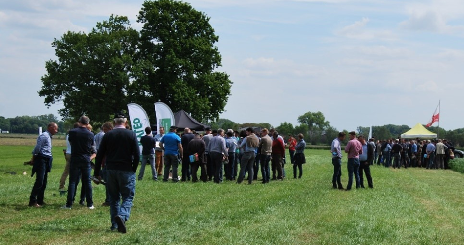 Web_Grasdemos (945 x 500 px).png