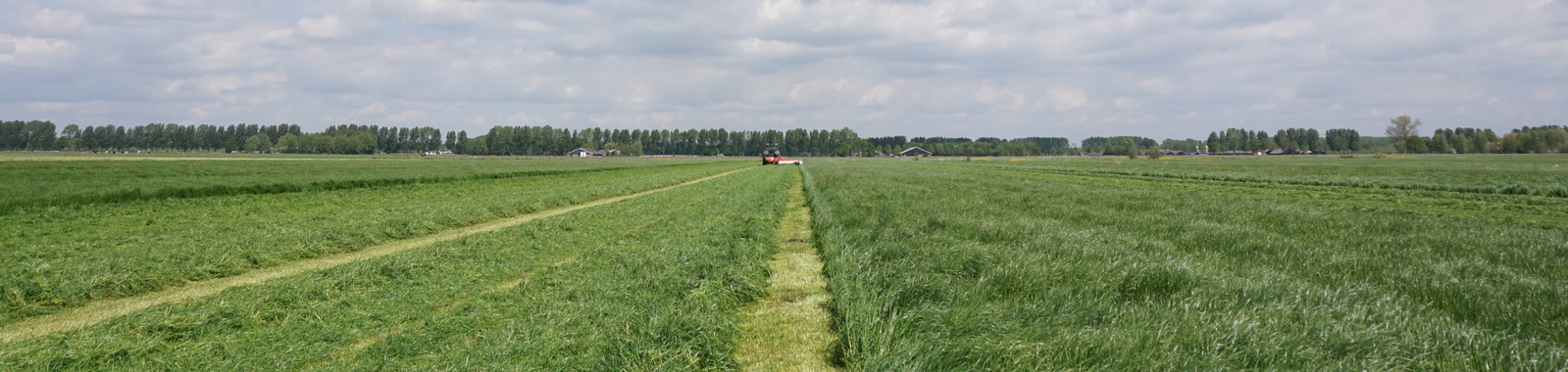 Carence en soufre - Prairie et pâturage