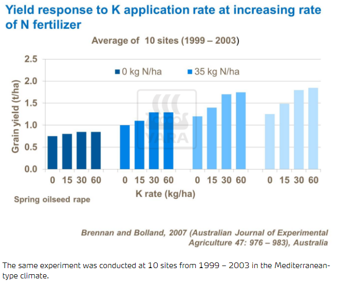 Rendement : réponse à l'application de potassium à un taux croissant d'engrais azoté