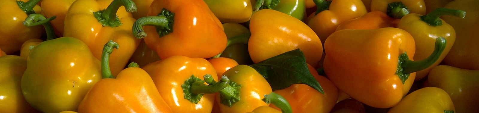 Stikstofgebrek (n) in paprika