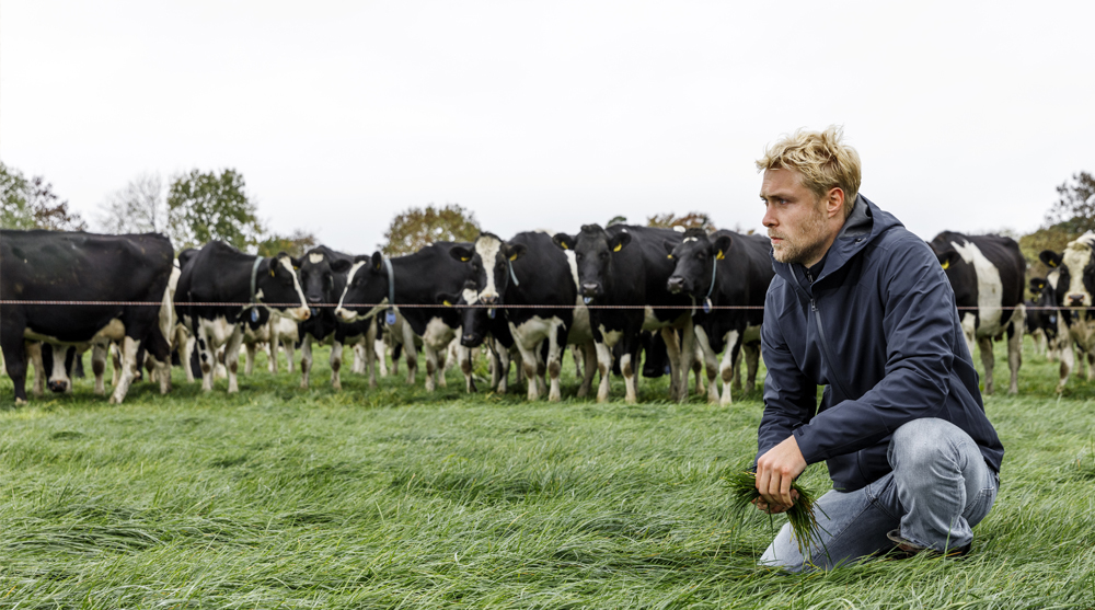 S-index en aminozuren = meer melk